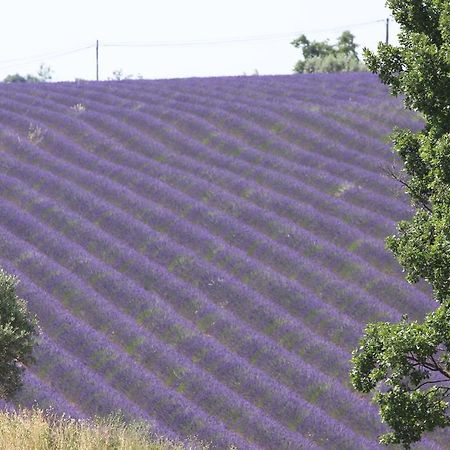 B&B La Grande Dame Valensole Dış mekan fotoğraf