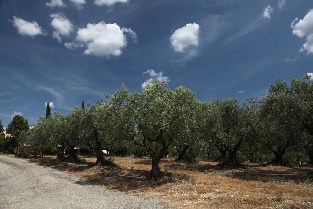 B&B La Grande Dame Valensole Dış mekan fotoğraf