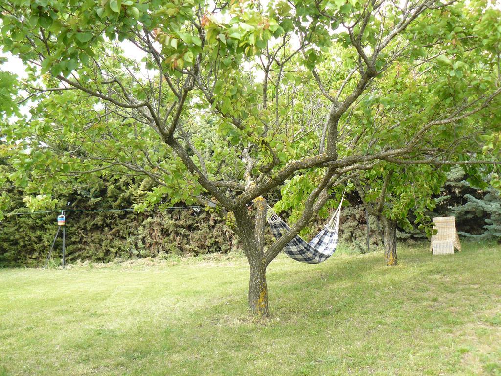 B&B La Grande Dame Valensole Dış mekan fotoğraf